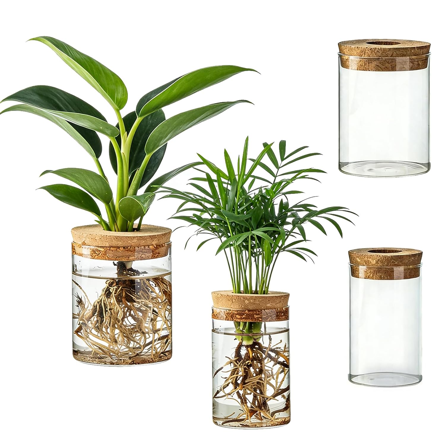Propagation Station Vase - محطات تكاثر الزهور الزجاجية، مزهريات زهور