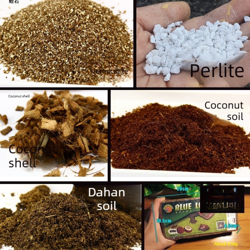 طوب تربة جوز الهند كركيزة للزو - مراجعة Sphagnum Moss Dry وسعره