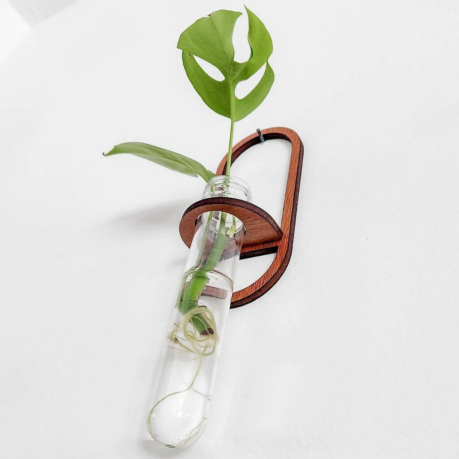 مزهرية نباتات هيدروبونية، رف خ - مراجعة Propagation Station Vase وسعره