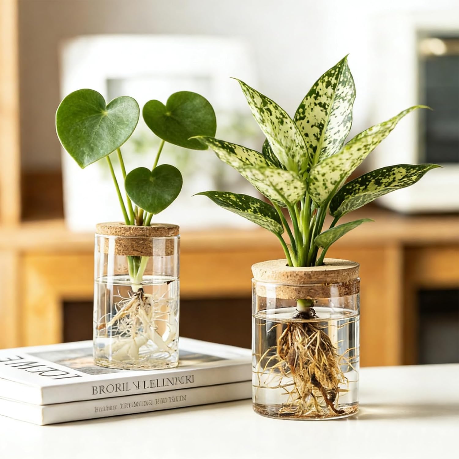 محطات تكاثر الزهور الزجاجية، م - مراجعة Propagation Station Vase وسعره