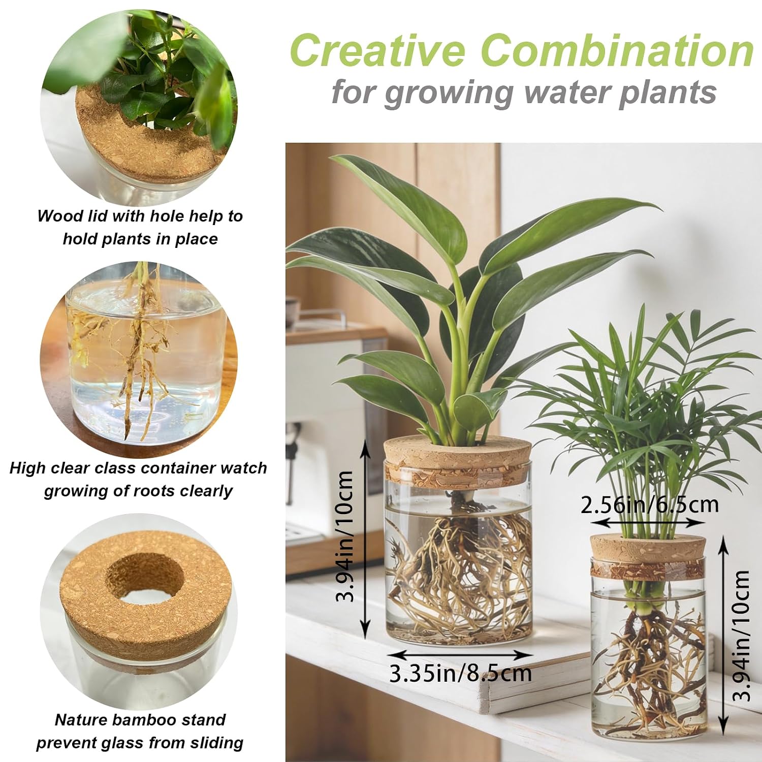 محطات تكاثر الزهور الزجاجية، م - مراجعة Propagation Station Vase وسعره