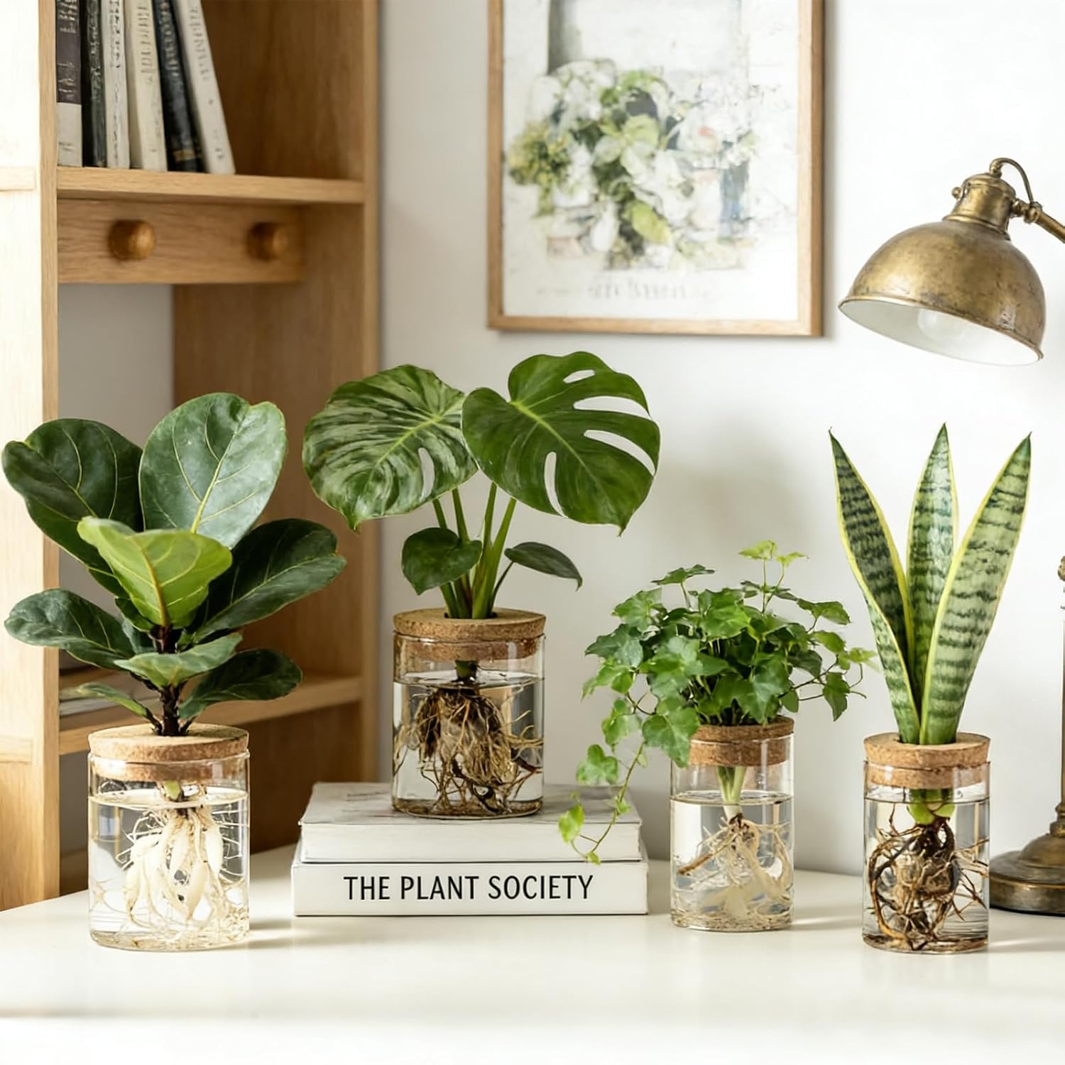 محطات تكاثر الزهور الزجاجية، م - مراجعة Propagation Station Vase وسعره